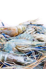 Fresh Shrimp / Prawn on ice at the raw food market, Bangkok Thai