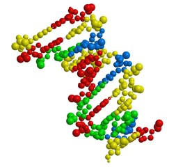 Molecular structure of double stranded DNA (helix)