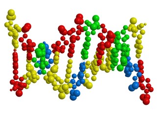 Molecular structure of double stranded DNA (helix)