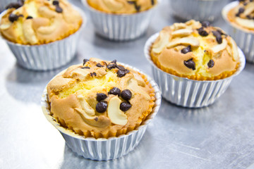Muffin butter cakes with cashew nut and chocolate chips on top