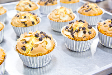 Muffin butter cakes with cashew nut and chocolate chips on top