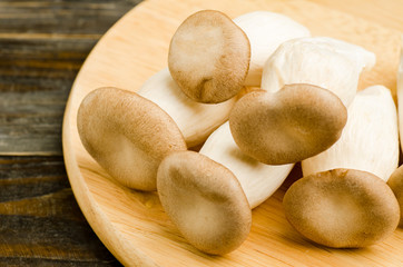 Mushroom