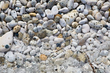 Ciottoli di forme varie e acqua