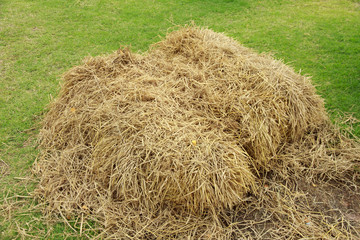 Stock Photo:.Stack of hay on the field