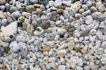 Sassi in riva al mare