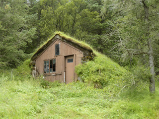 wooden hut