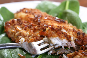 Catfish filets coated with crushed pretzels and roasted