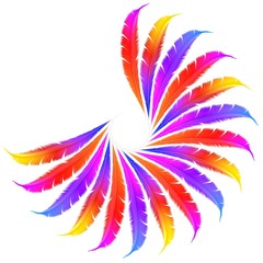 Naklejka premium bunte Federn 