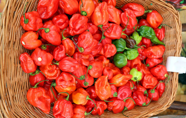 basket with spicy red habanero peppers