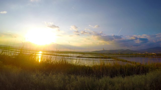 Sport Car Drive Fast on the country road along Rice fields at sunset with reflection in the water. UHD 4K stock footage