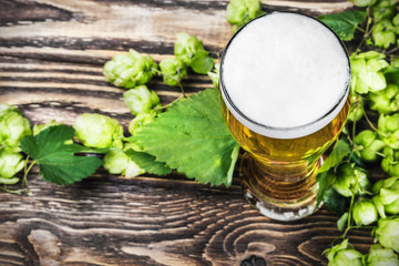 Obraz na płótnie Canvas fresh glass of Beer with hop