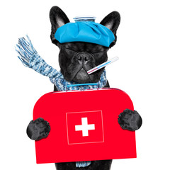 Kranker Hund mit Fieber 