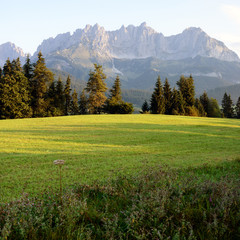 Obraz premium Wiese mit Kitzbüheler Alpen im Hintergrund 