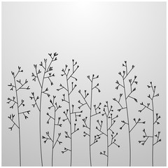 vector nature herb backgrounds