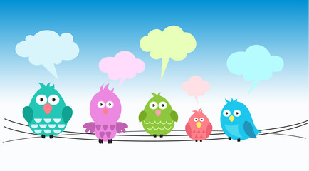 Cute colorful birds on wires