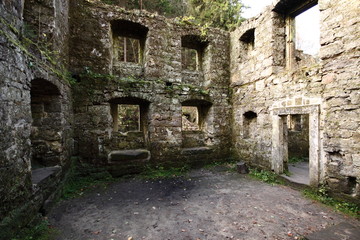 In the mill ruins