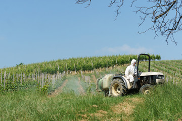 Tractor spraying vineyard