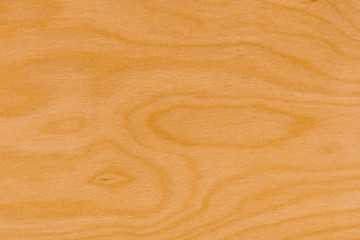 Obraz premium background of Birch wood surface