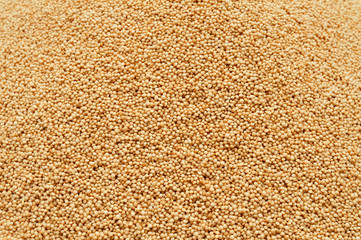 amaranth seeds