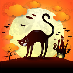 Halloween background with black cat