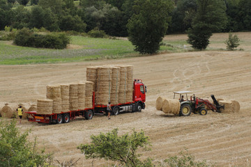 CHARGEMENT DE ROULEAUX DE PAILLE SUR UN CAMION
