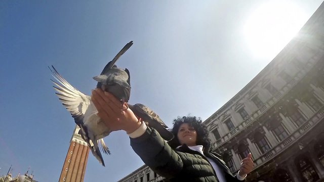 SLO MO Shot Woman feeding pigeons on St. Mark’s Square. HD stock footage