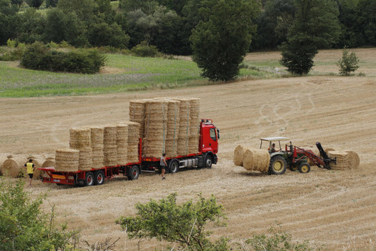CHARGEMENT DE ROULEAUX DE PAILLE SUR UN CAMION