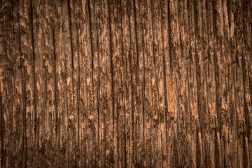 Fototapeta premium wood texture