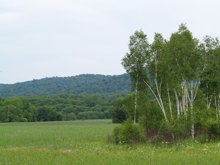 Obraz premium OLYMPUS DIGITAL CAMERA