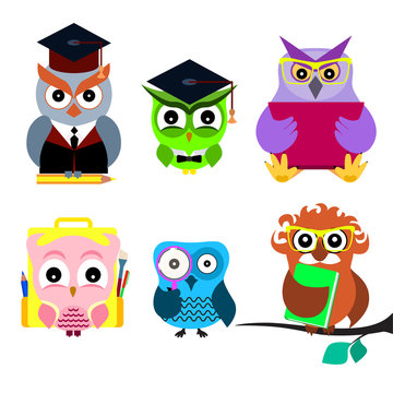 Cartoon owl set