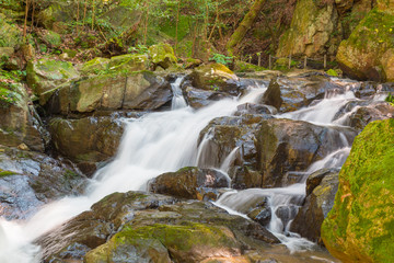 Fototapeta premium Water falls over a jumble of moss-covered boulders in forest.
