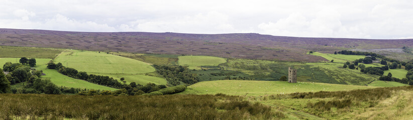 Tower on the moor