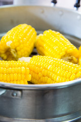 Streaming sweet corns