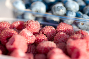 raspberry against the background of blueberry