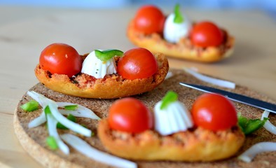 Italian bruschetta with oregano, tomato and mozzarella .Closeup.