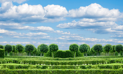 panorama Park with exactly topiary trees and lawn