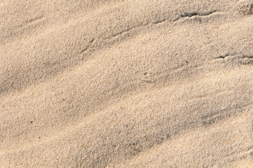 Fototapeta na wymiar wavy texture of the sand
