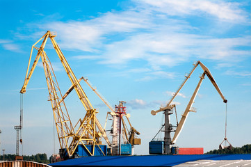 cargo cranes in the port of