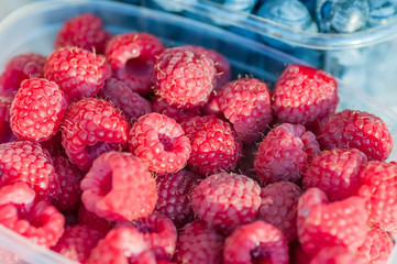 raspberry against the background of blueberry
