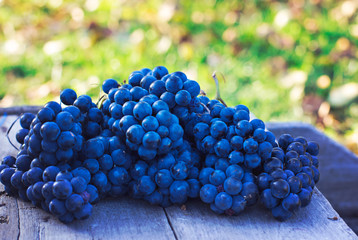 Bunches of dark grapes on a wooden table