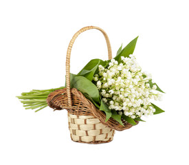 Fototapeta na wymiar bouquet of lilies of the valley in the basket isolated