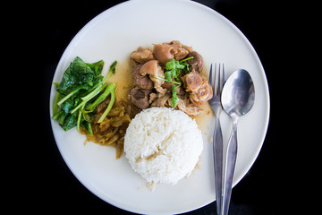 Stewed Pork Leg with Pickled Mustard Greens and rice