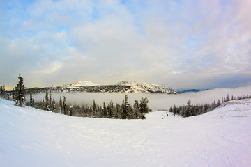 Winter mountain landscape