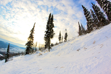 Winter mountain landscape