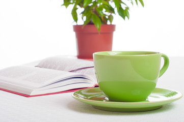 Cup of tea, open book and indoor plant. Concept of reading, stud