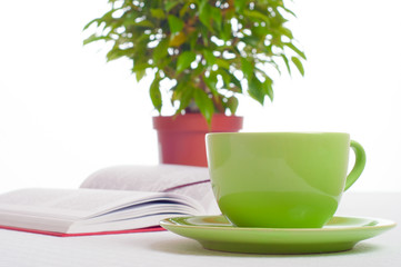 Cup of tea, open book and indoor plant. Concept of reading, stud