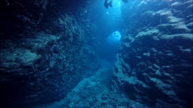 Unterwasserlandschaft des St. Johns Archipels