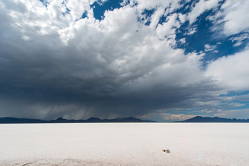 Bonneville salt flats, Utah