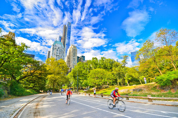 Blick auf den Central Park an einem sonnigen Tag in New York City.