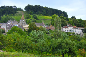 Fototapeta na wymiar Pernand-Vergelesses (Bourgogne)